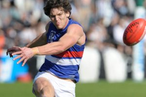 Kevin Hillier: In the doghouse – September 20, 2016