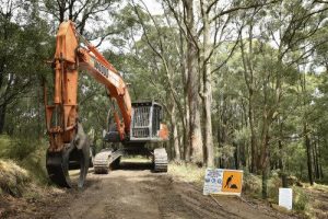 Fire treatment in western parks
