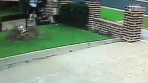 Christmas grinch pinches decorations in Taylors Hill