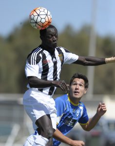 Brimbank Stallions stampede to next cup round