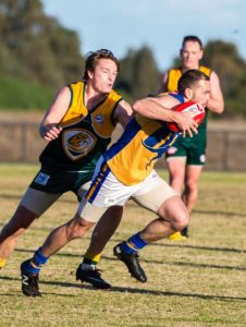 Intelligent Sunshine Kangaroos adjust on the run