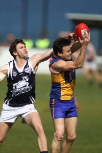 Rebound Sunshine Kangaroos show true grit