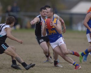 Taylors Lakes looking forward