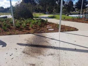 Patrols to protect park