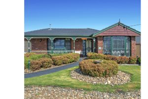 Enchanting oasis: 67 Harcourt Avenue, St Albans, 3021