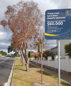 Tree vandals strike in Taylors Lakes