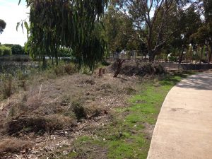 Flagship park by vandals