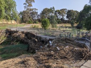 Cleaning up the creek