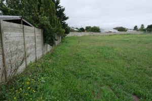 Class action could flow