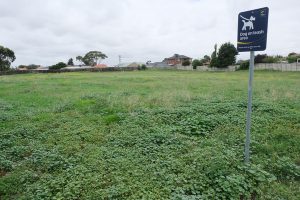 Taskforce call for contamination problem