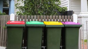 Four bin roll-out welcomed