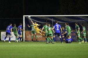 Salmon at the double for Green Gully