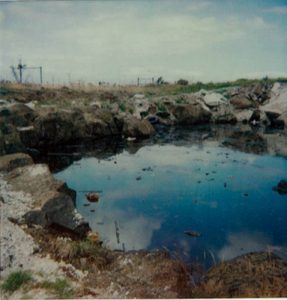 Health risk low: council