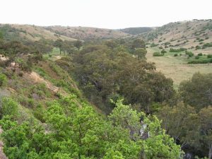 Park plans get green light