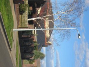 Brimbank streetlights go green