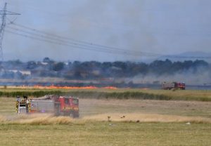 Taylors Lakes grassfire under investigation