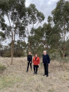 Park reopening a step closer