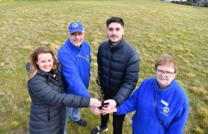 Greening Taylors Lakes