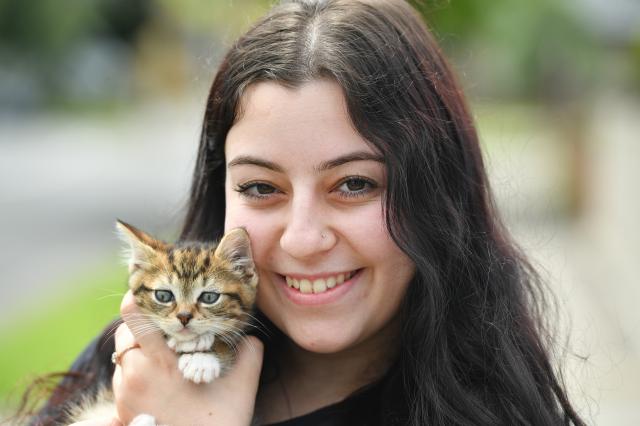 Care for a cat | Brimbank & North West