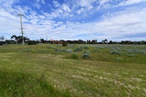 Lot sizes a point of concern