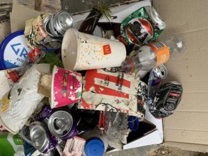 Clean up the environment