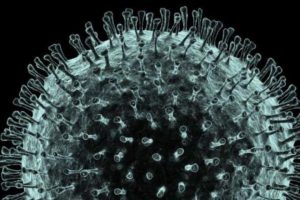 Brimbank records highest fatality rate from Covid-19