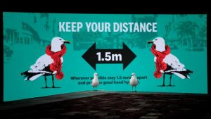 Local art projection sparks reaction