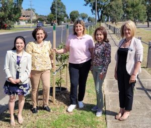 More trees to uplift Brimbank