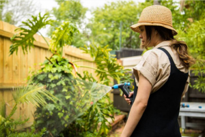 Easy ways to save water around your garden