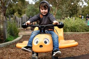 Council calls for park action from minister