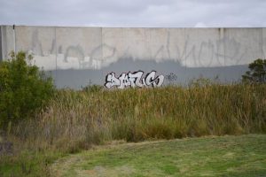Recurring graffiti removal a waste