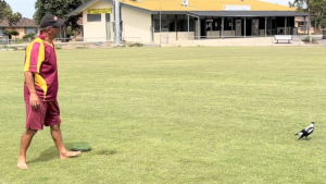 A beautiful friendship