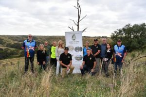 A walk through Sydenham Park