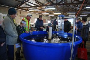 Open day arrives at Snobs Creek Hatchery