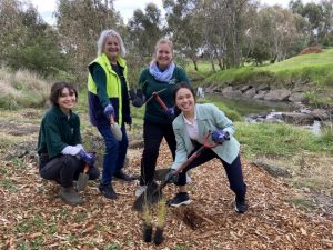 Put a plant in the ground on World Environment Day for free!