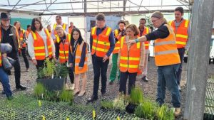 More trees on their way for Brimbank