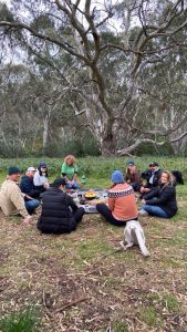 Heads clear after Brimbank Park walk