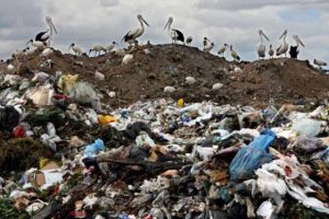 Ravenhall landfill operator fined