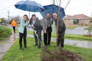Tree planting  celebrates Queen’s reign
