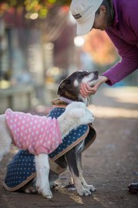 Be Kind to Animals Week at Edgar’s Mission