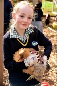 Pupils work from plant to plate