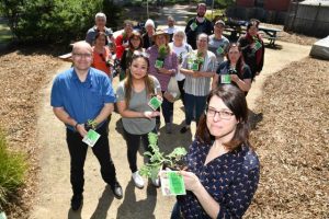 Reconnecting in the garden