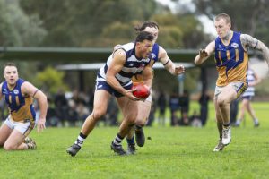 Cats through to granny