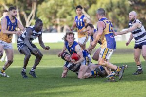 Kangaroos big day out