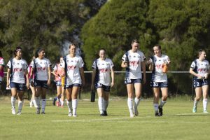 Calder announces coaches