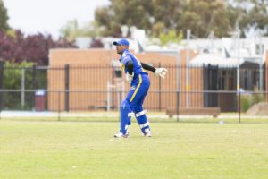 Lions suffer first loss