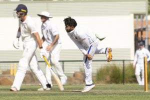 Lions solid day in the field