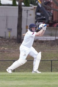 Gorillas show plenty of fight