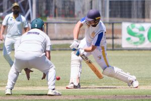 Cougars suffer first loss