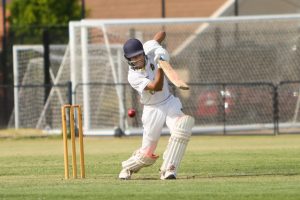 Lions find some of their early season form